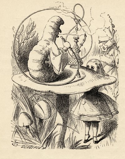 Advice from a Caterpillar, from 